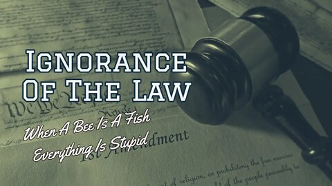 Ignorance Of The Law: When A Bee Is A Fish, Everything Is Stupid