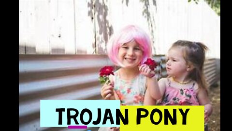 TROJAN PONY: Addressing the Hidden Agenda of Trans-ing the Kids