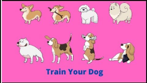 How to train Dogs | Dog Videos | Cute Dogs | Cute Pets