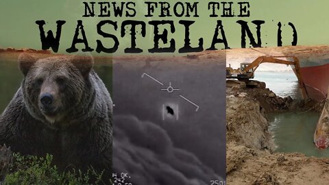 UFO Reports, Fearless Attack Bears, and that Darn Container Ship -Paranormal News from the Wasteland