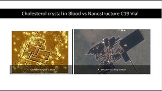 Nanotech in C19 vials, Regulatory Fraud, Bad Manufacturing Practices, DOD contracts & more