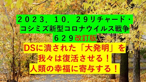 2023.10.30 リチャード・コシミズ新型コロナウイルス戦争６２９ 改訂版