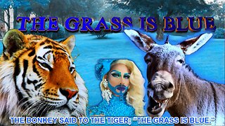 THE GRASS IS BLUE - "The Woke are DELUSIONAL FANATICS!?