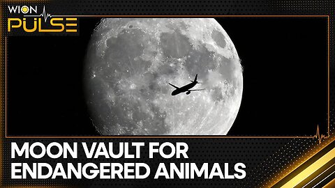 How lunar craters could rescue earth's genes | WION Pulse| TP