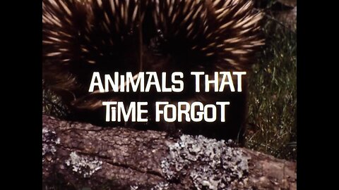 Mutual of Omaha's Wild Kingdom - "Animals That Time Forgot"