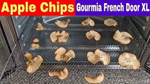 Apple Chips, Gourmia French Door XL Digital Air Fryer Oven Recipe