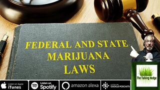 The Cannabis Industry's Roadblocks: An Independent Lobbyist's Perspective