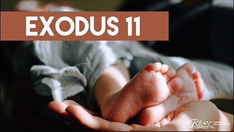 Exodus 11 - Sermon with Pastor Mike Kestler