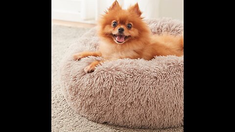 XZOMEY Calming Dog Bed & Cat Bed for Small Medium Large Pets，Anti Anxiety Fluffy Faux Fur Roun...
