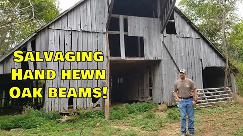 Salvaging & recovering hand hewn oak beams! A deep woods remote barn salvage operation!