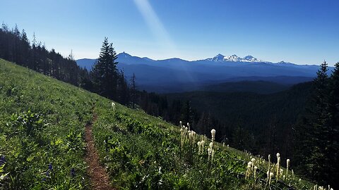 Leaving the Summit & Descending a Flowery Mountainside Wonderland! | 4K | Crescent Mountain | Oregon