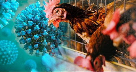 Bird Flu Outbreak Detected at Australian Poultry Farm