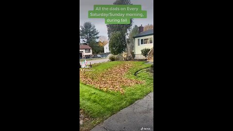 Satisfying lawn care content