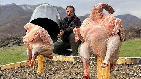 Huge Turkeys under Barrels in the Fire! A Unique Way and Delicious Meat