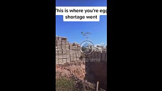 Egg shortage ￼