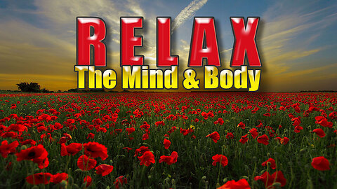 Relaxing Sleep Music • Deep Sleeping Music, Relaxing Music, Stress Relief, Meditation Music (Flying)