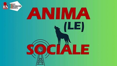 ⭐ ANIMA(LE) SOCIALE ⭐ confronto con Michele Sodano: dai 5stelle al gruppo misto