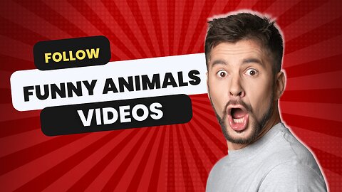 FUNNY ANIMAL VIDEOS