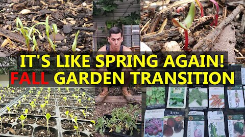Transitioning the Garden for FALL Planting - Differences from Spring Crops
