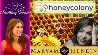 Ep.389: HoneyColony w/ The "Bee Lady" Maryam Henein | The Courtenay Turner Podcast