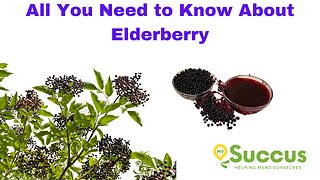 All You Need to Know About Elderberry