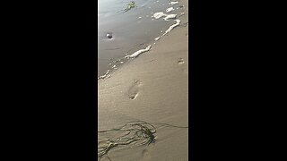 Walk on the beach