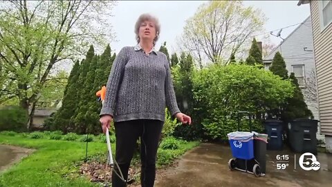 Firestone Park woman aims to remove 100K pieces of litter, keep streets clean