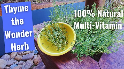 Thyme Health Benefits - You will be AMAZED !