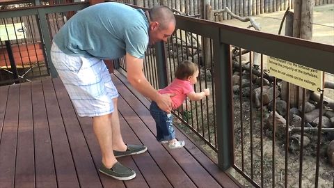 30 Cute Kids Meet Zoo Animals