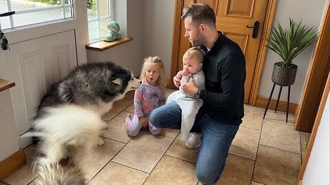 Adorable Little Girl Tries To Teach Her Dogs To Howl! (Cutest Ever!!)