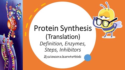 How Protein Synthesis Works: A Detailed Look At The Process.