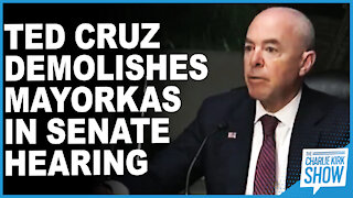 Ted Cruz Demolishes Mayorkas In Senate Hearing
