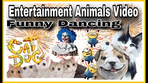 Entertainment Animals Crazy video// Funny Cat -Dog// Video
