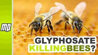No, a New Paper Does Not Show That Glyphosate Is Harming Honey Bees