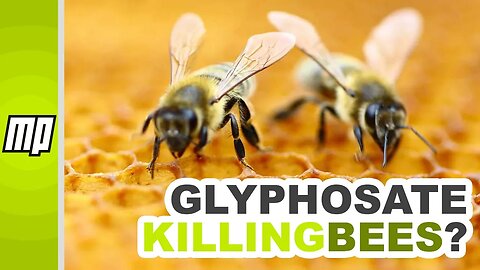 No, a New Paper Does Not Show That Glyphosate Is Harming Honey Bees