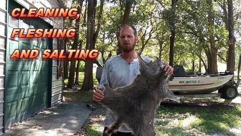 Cleaning, fleshing, and salting a racoon hide.