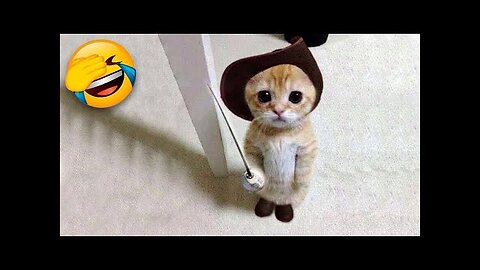 Funniest Cats and Dogs🐶🐱|Funny Animal Videos #1