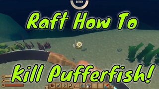 RAFT How to Fight Pufferfish!