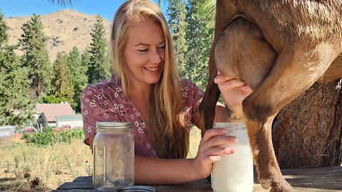 We're Milking Goats!