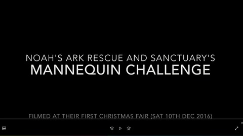 Mannequin challenge at Noah's Ark Rescue Christmas Fair