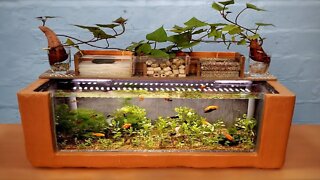 How to turn a styrofoam box into a beautiful aquarium