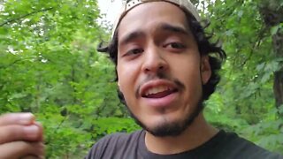 Random Guy in Woods Tells People to Like and Subscribe For More