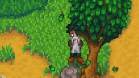 Gameplay: Stardew Valley - Foraging