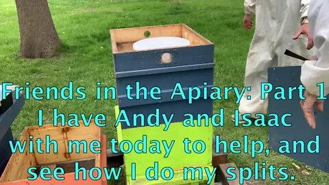April 24, 2020-FRIENDS IN THE APIARY PART 1: #HIVEPSLITS #BEEKEEPING
