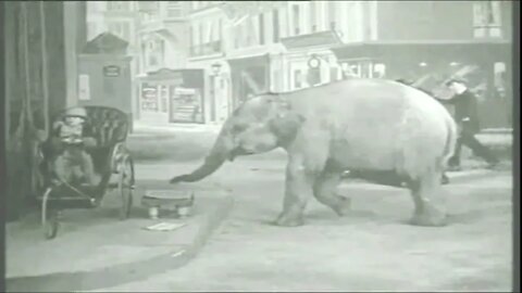 Tiny Tim and the Adventures of His Elephant (1913)