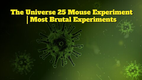 The Universe 25 Mouse Experiment | Most Brutal Experiments