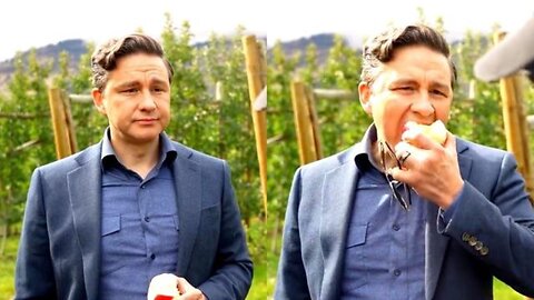 Pierre Poilievre Causally Smacks Down Liberal Journalist While Munching On An Apple