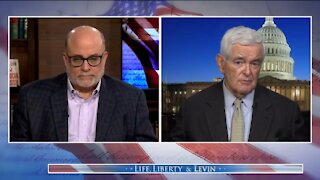 Newt Gingrich: Pelosi is A Dictator Right Now