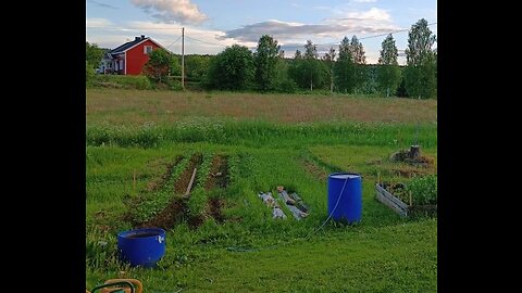 OffGridLife - Gardening On The Arctic Circle