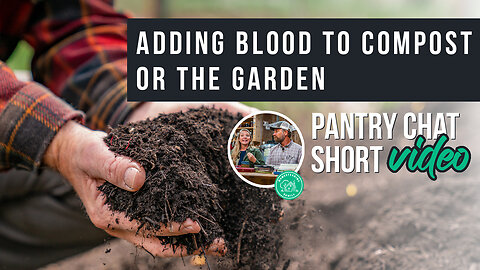 Pros and Cons of Adding Blood to Compost or the Garden | Pantry Chat Podcast Short
